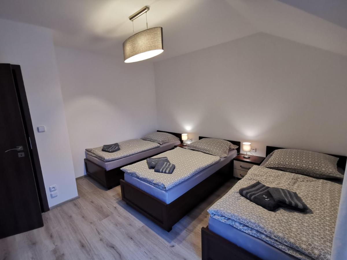 Apartman 5 Klinovec Daire Loučná pod Klínovcem Dış mekan fotoğraf