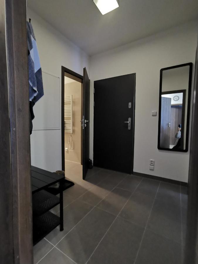 Apartman 5 Klinovec Daire Loučná pod Klínovcem Dış mekan fotoğraf