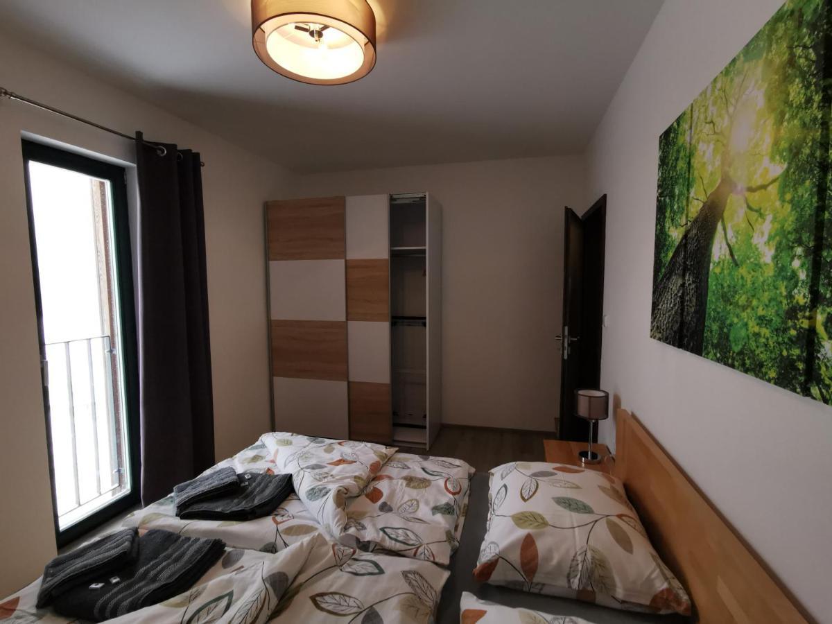 Apartman 5 Klinovec Daire Loučná pod Klínovcem Dış mekan fotoğraf