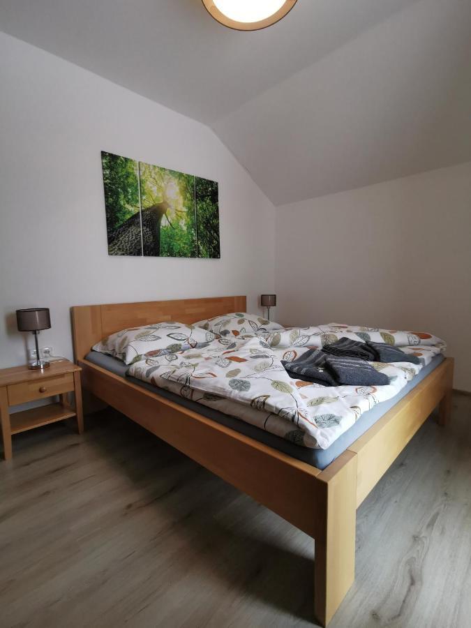 Apartman 5 Klinovec Daire Loučná pod Klínovcem Dış mekan fotoğraf