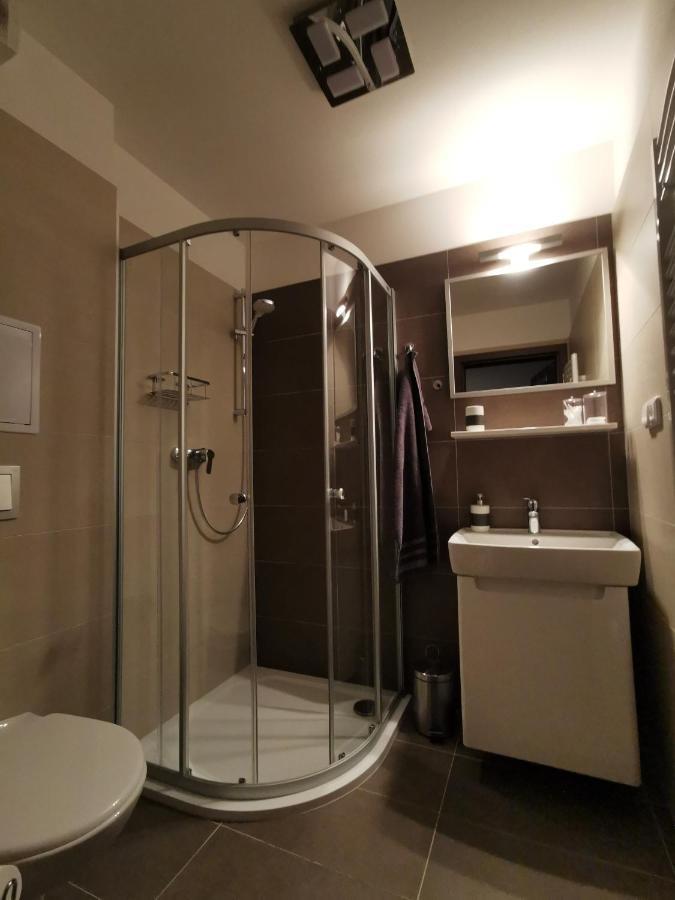 Apartman 5 Klinovec Daire Loučná pod Klínovcem Dış mekan fotoğraf