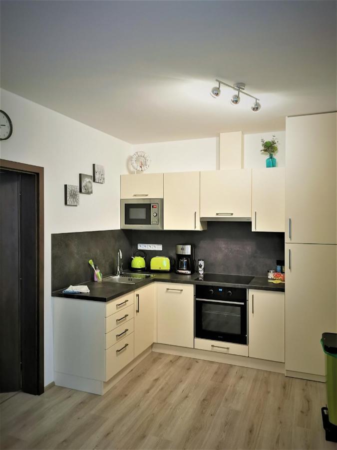 Apartman 5 Klinovec Daire Loučná pod Klínovcem Dış mekan fotoğraf